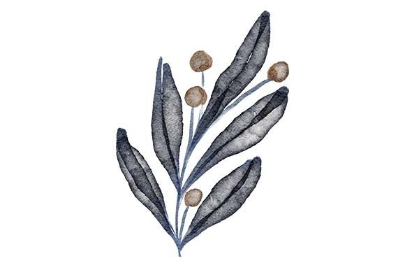 Download Watercolor Leaf Foliage Floral Element - Leaf foliage Collection